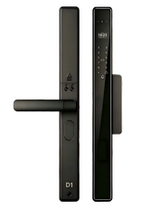 D1 Palm Vein & Facial Recognition Fully Automatic Smart Lock
